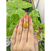 11.52 Ct. Tiger's Eye from South Africa Life Style