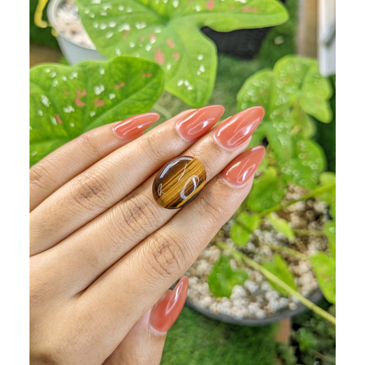 11.89 Ct. Cabochon Tiger's Eye from South Africa