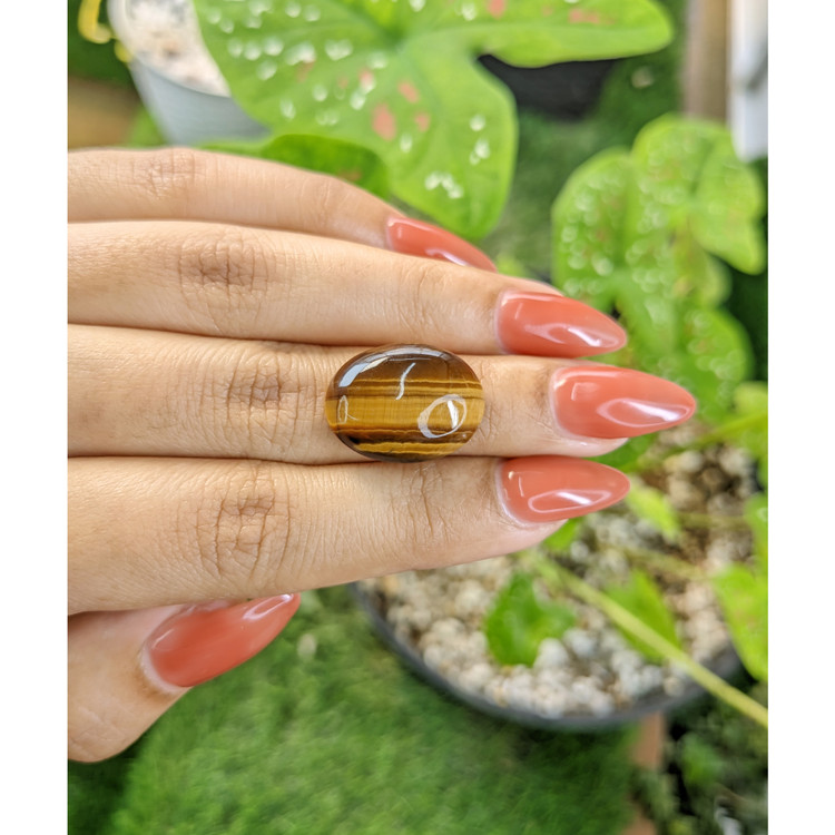 11.89 Ct. Cabochon Tiger's Eye from South Africa