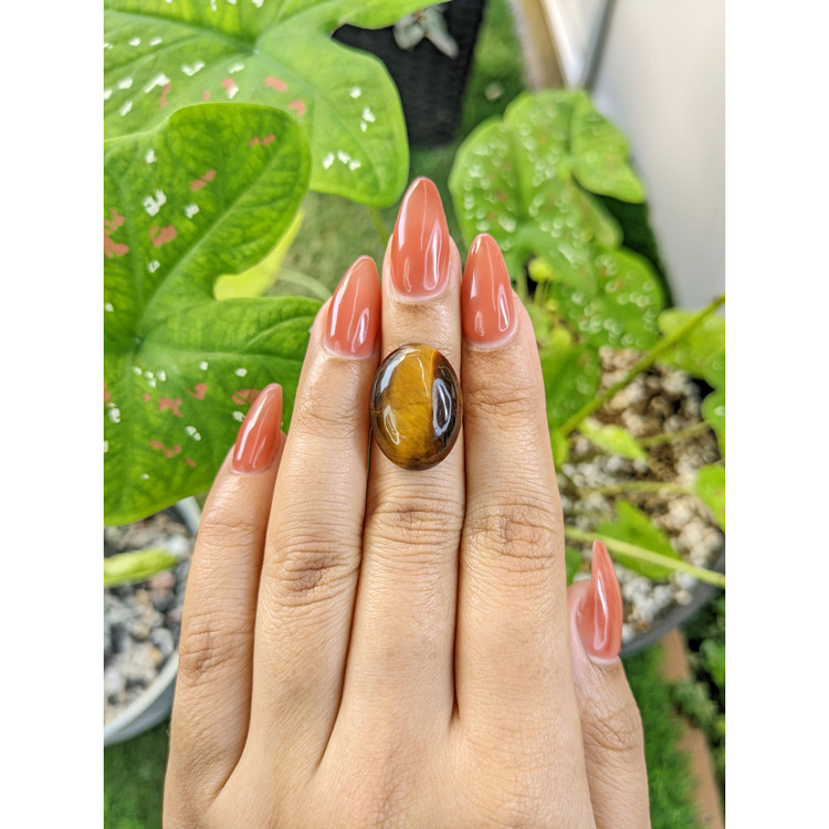 13.04 Ct. Cabochon Tiger's Eye from South Africa