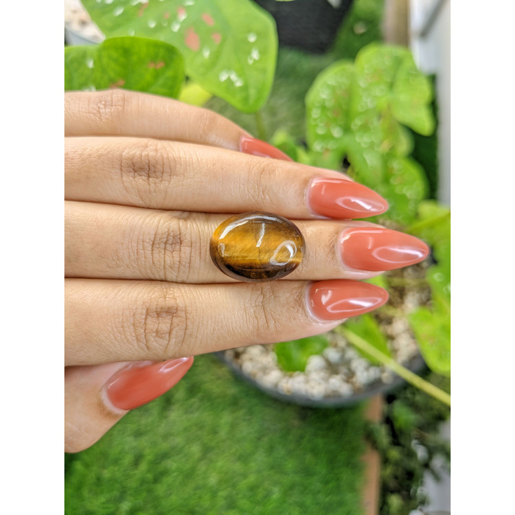 13.04 Ct. Cabochon Tiger's Eye from South Africa