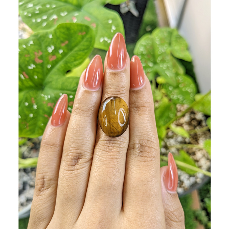 12.27 Ct. Cabochon Tiger's Eye from South Africa