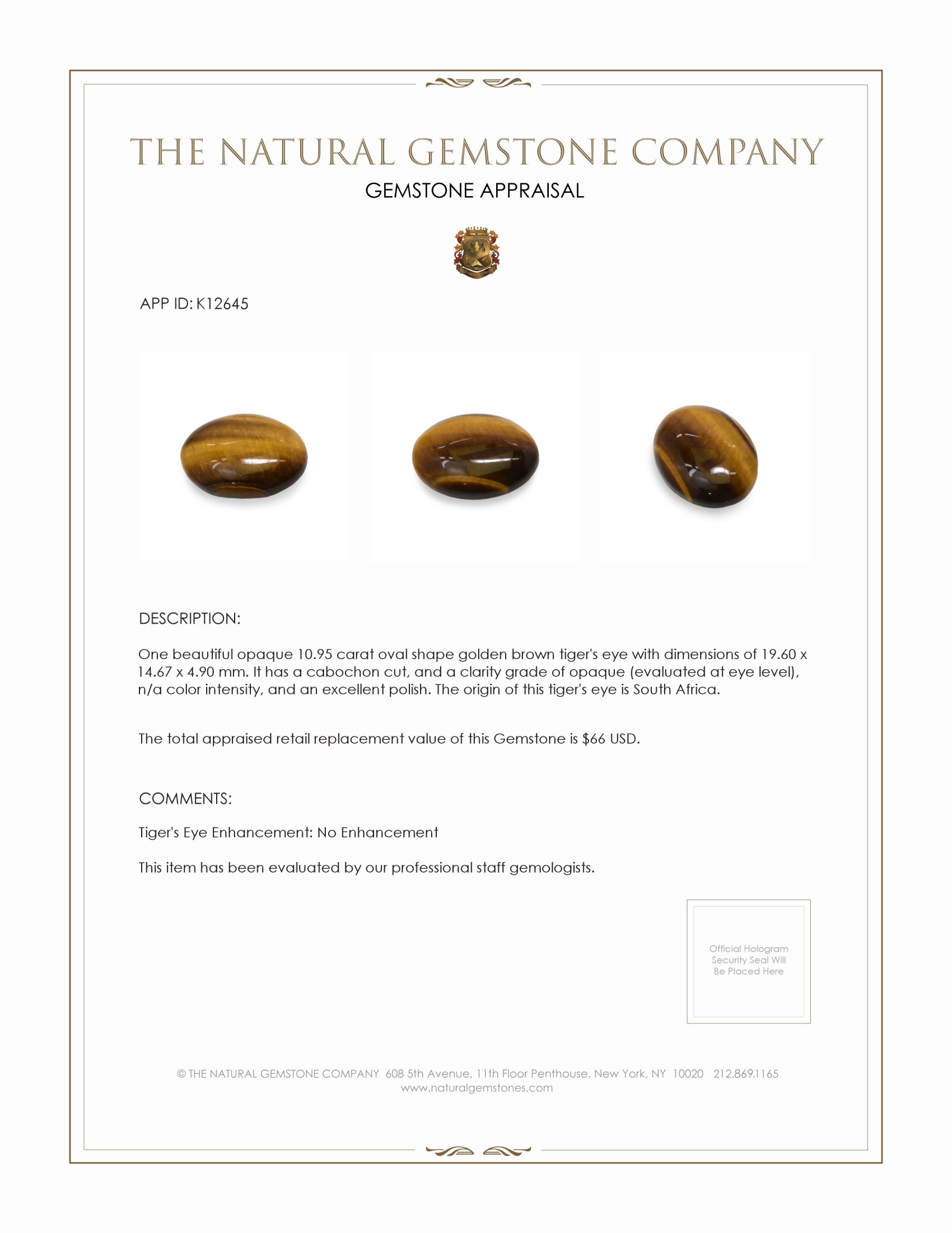 10.95 Ct. Cabochon Tiger's Eye from South Africa