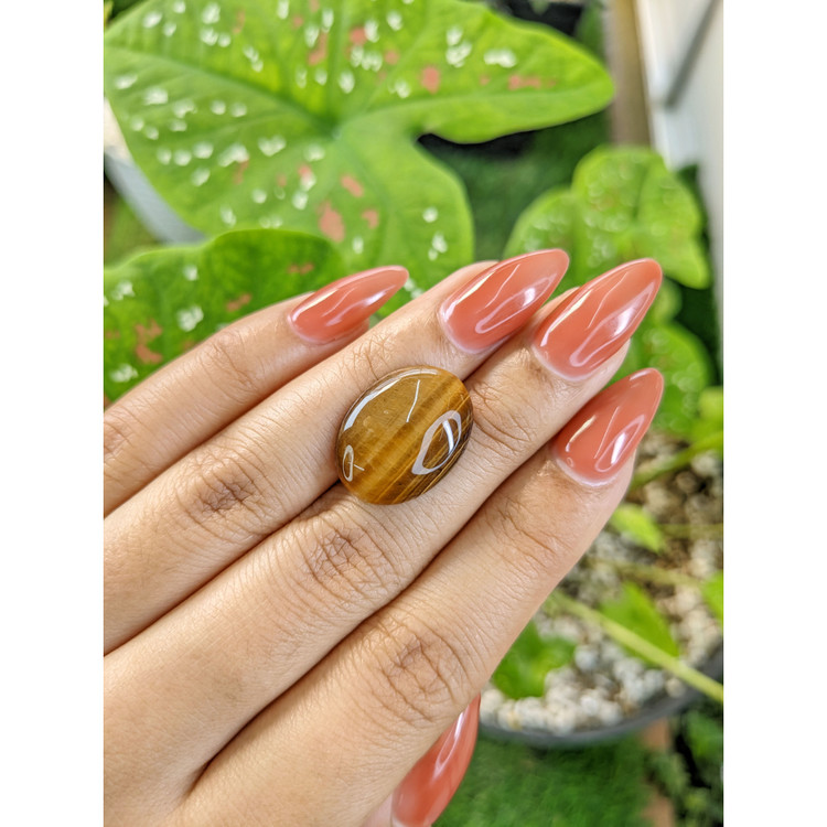 9.72 Ct. Cabochon Tiger's Eye from South Africa