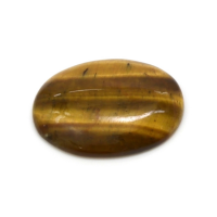 8.90 Ct. Tiger's Eye from South Africa Video