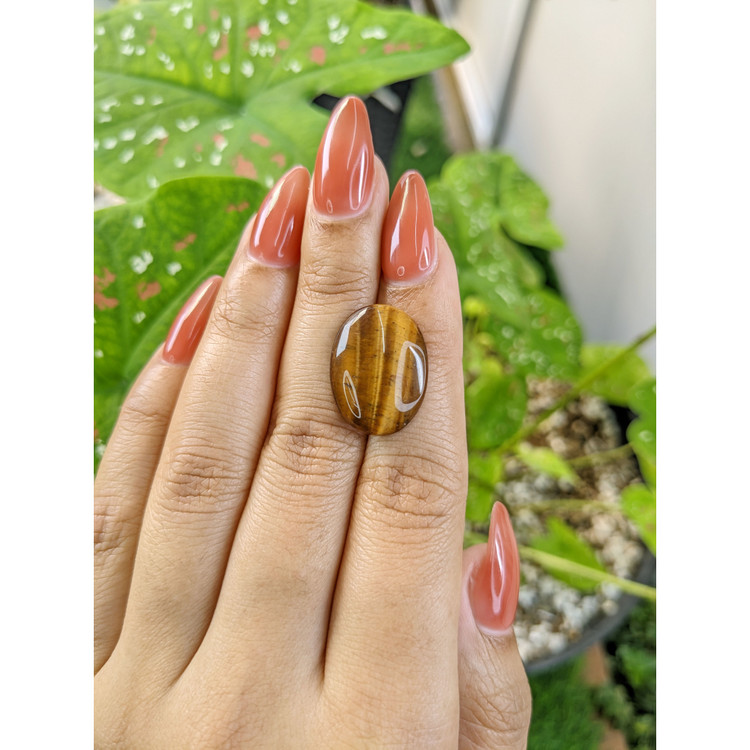 8.90 Ct. Cabochon Tiger's Eye from South Africa