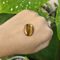 8.90 Ct. Cabochon Tiger's Eye from South Africa Life Style