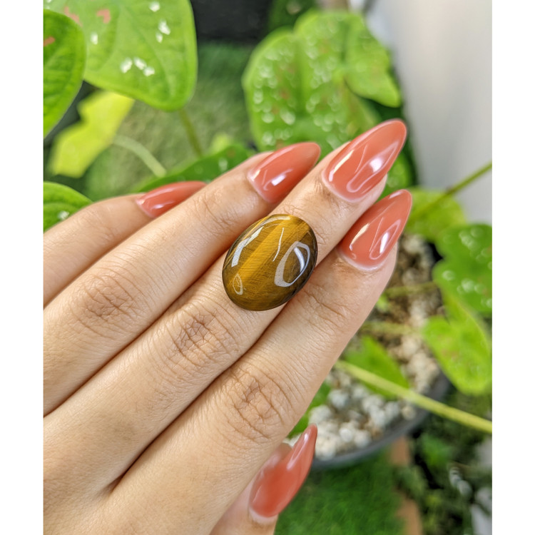 10.90 Ct. Cabochon Tiger's Eye from South Africa