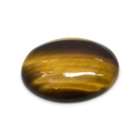 10.28 Ct. Tiger's Eye from South Africa Video