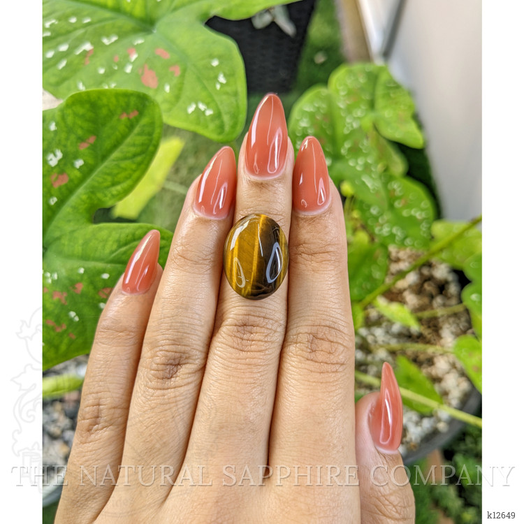 10.28 Ct. Cabochon Tiger's Eye from South Africa