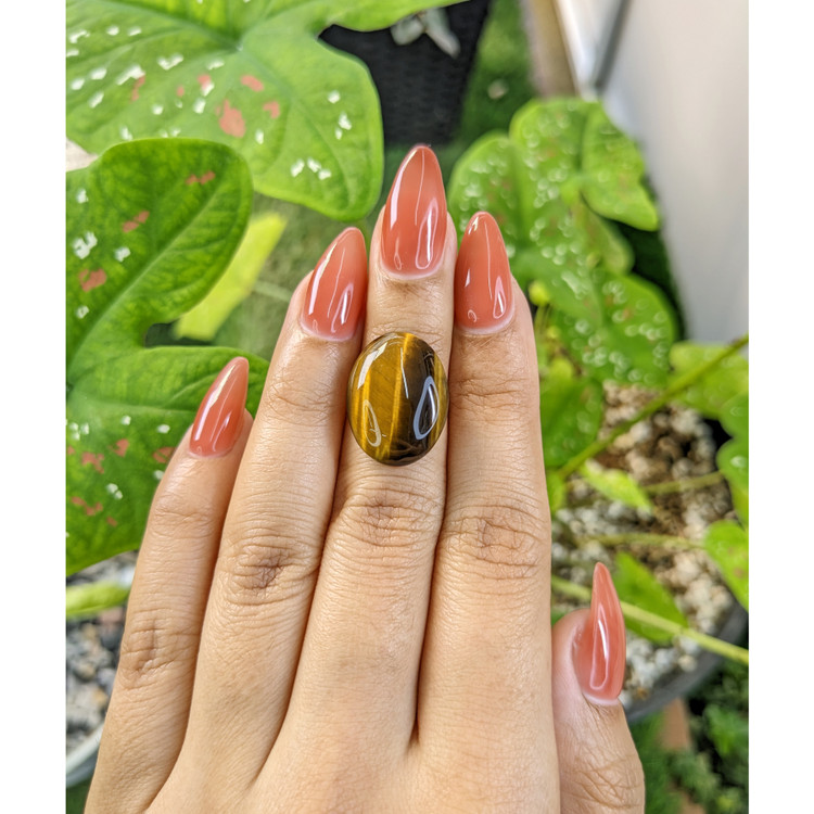 10.28 Ct. Cabochon Tiger's Eye from South Africa
