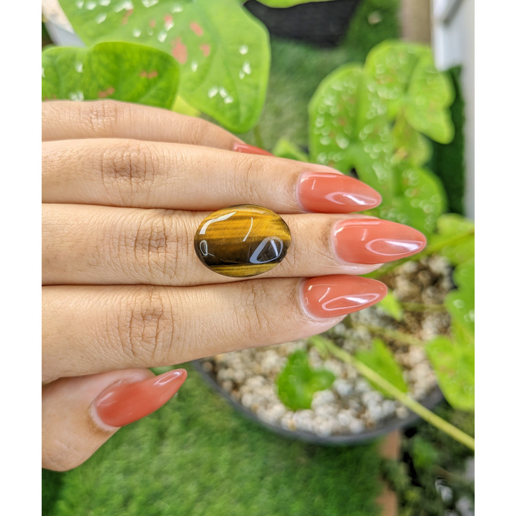 10.28 Ct. Cabochon Tiger's Eye from South Africa