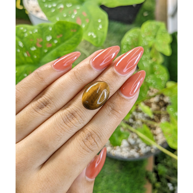 7.21 Ct. Cabochon Tiger's Eye from South Africa