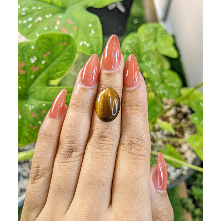 7.21 Ct. Cabochon Tiger's Eye from South Africa