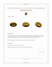 7.62 Ct. Cabochon Tiger's Eye from South Africa Appraisal