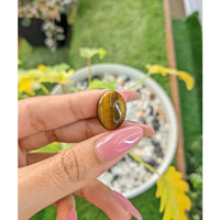 7.62 Ct. Tiger's Eye from South Africa Life Style