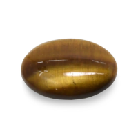 6.81 Ct. Tiger's Eye from South Africa Video