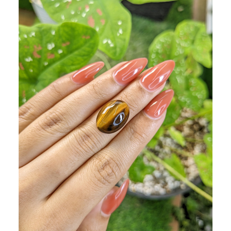 8.65 Ct. Cabochon Tiger's Eye from South Africa