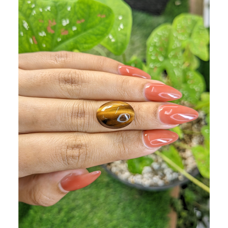 8.65 Ct. Cabochon Tiger's Eye from South Africa