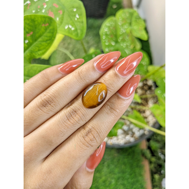 7.25 Ct. Cabochon Tiger's Eye from South Africa