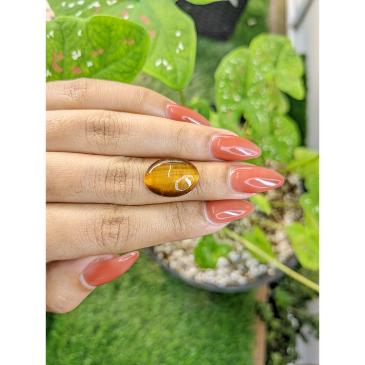7.25 Ct. Cabochon Tiger's Eye from South Africa
