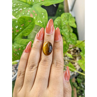 7.33 Ct. Cabochon Tiger's Eye from South Africa Life Style