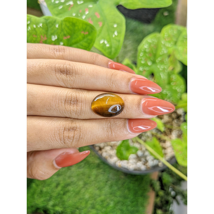 7.33 Ct. Cabochon Tiger's Eye from South Africa