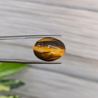 8.83 Ct. Cabochon Tiger's Eye from South Africa Life Style
