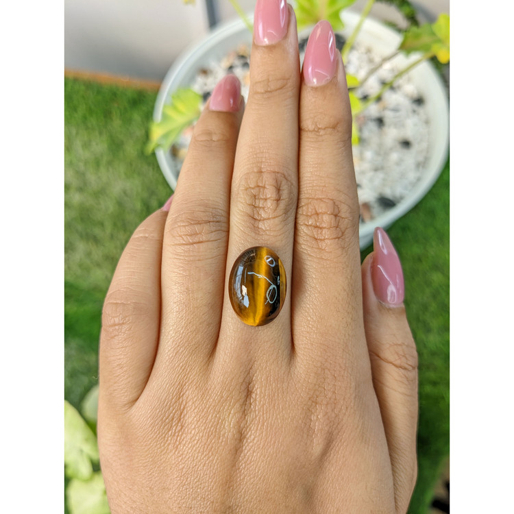 8.83 Ct. Cabochon Tiger's Eye from South Africa
