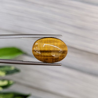 7.13 Ct. Tiger's Eye from South Africa Life Style