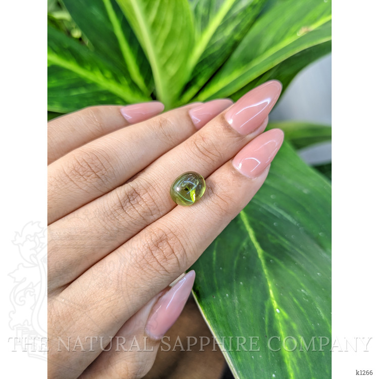 4.25 Ct. Cabochon Tourmaline from Mozambique