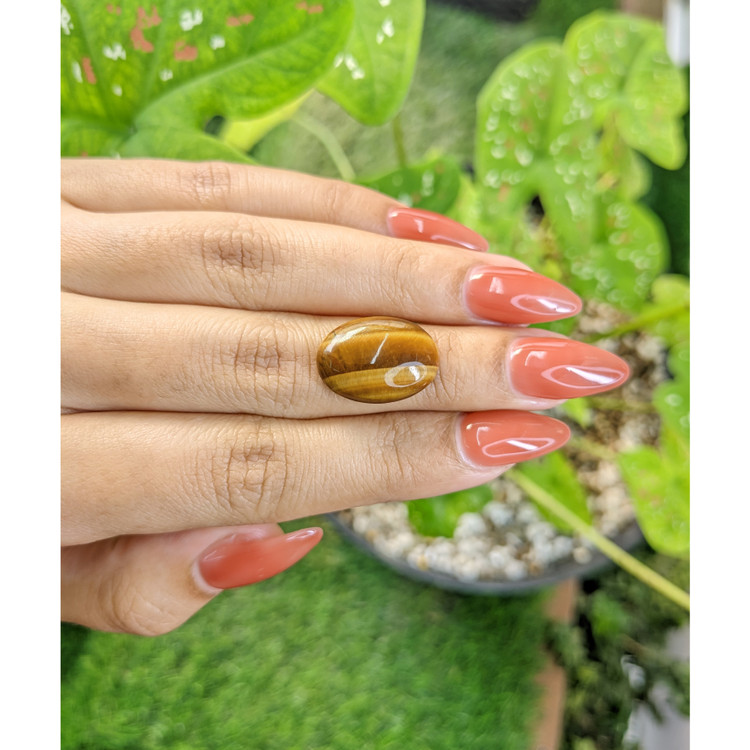 8.05 Ct. Cabochon Tiger's Eye from South Africa