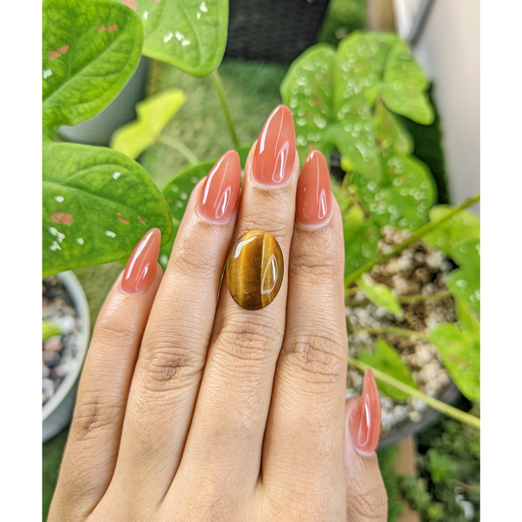 8.05 Ct. Cabochon Tiger's Eye from South Africa