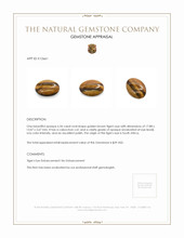 6.54 Ct. Cabochon Tiger's Eye from South Africa Appraisal