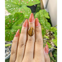 6.54 Ct. Cabochon Tiger's Eye from South Africa Life Style