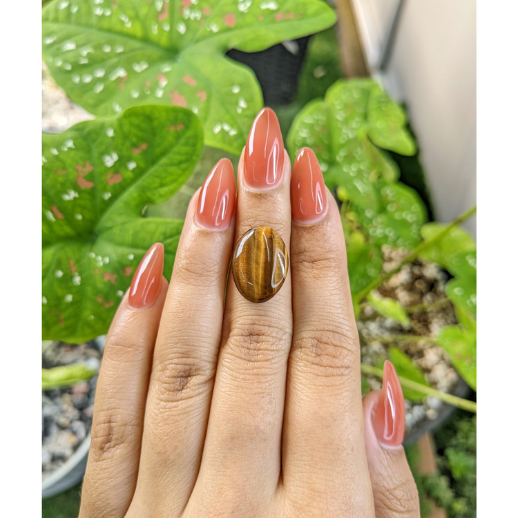 6.54 Ct. Cabochon Tiger's Eye from South Africa