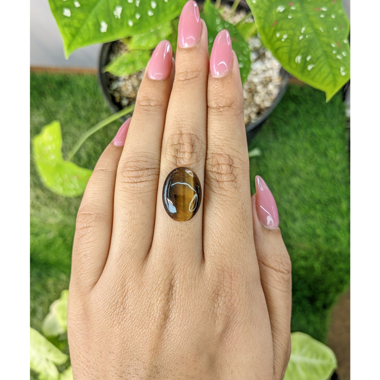 8.03 Ct. Cabochon Tiger's Eye from South Africa