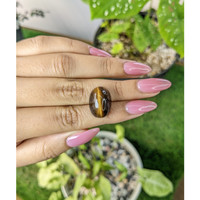 15.47 Ct. Tiger's Eye from South Africa Life Style