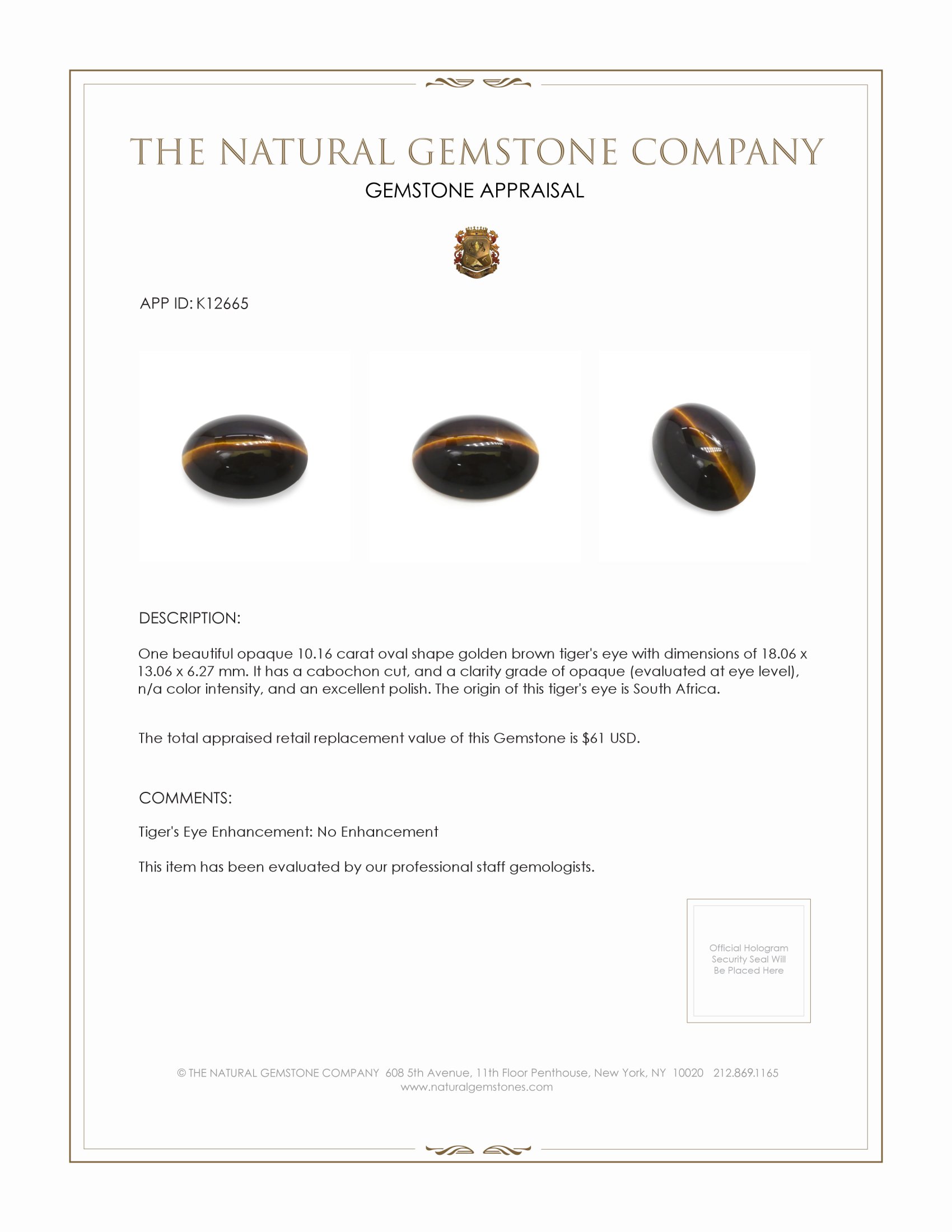 10.16 Ct. Cabochon Tiger's Eye from South Africa