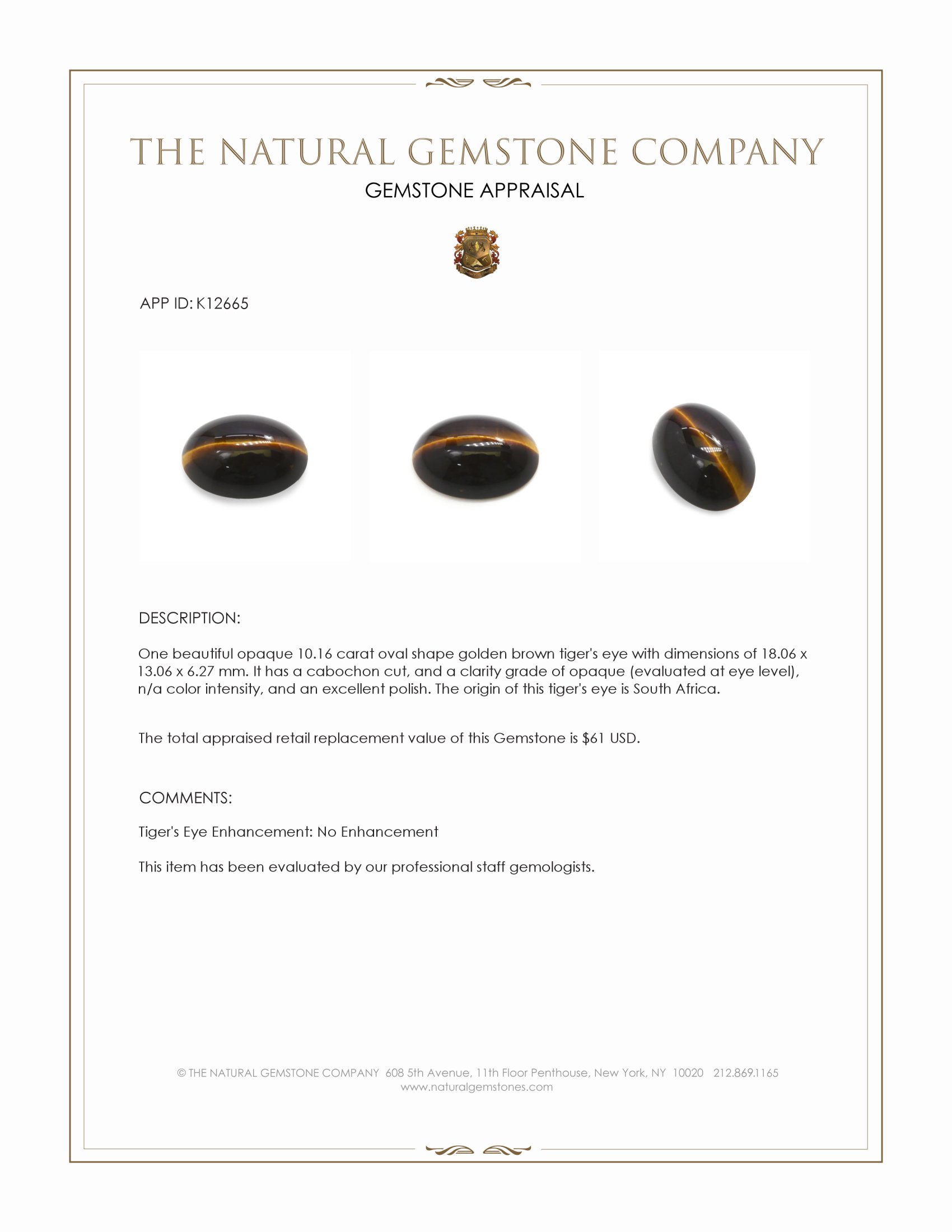 10.16 Ct. Cabochon Tiger's Eye from South Africa