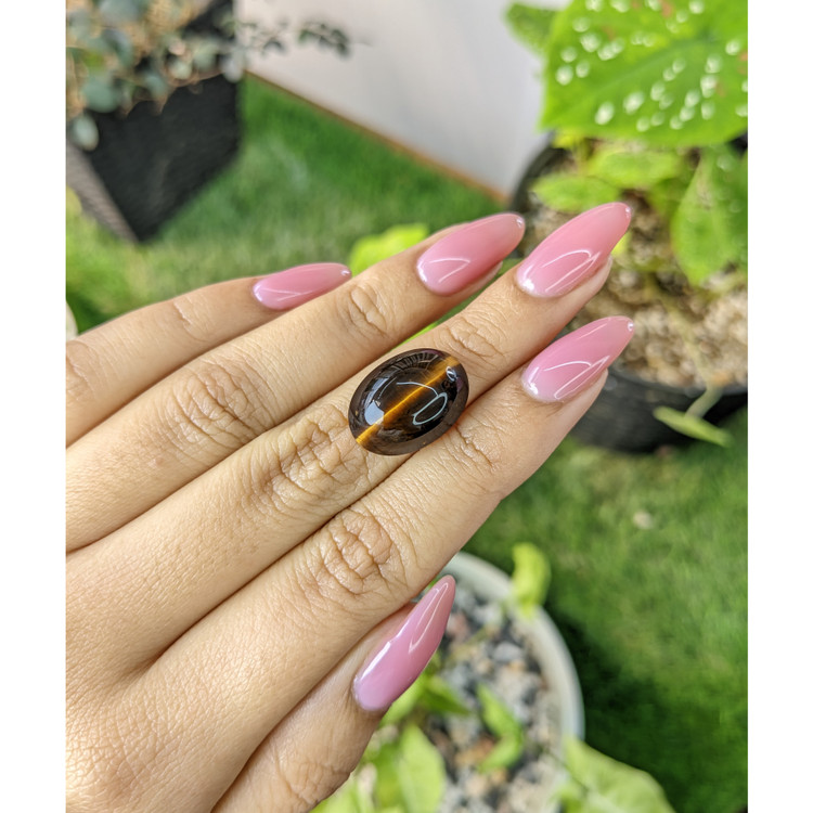 10.16 Ct. Cabochon Tiger's Eye from South Africa