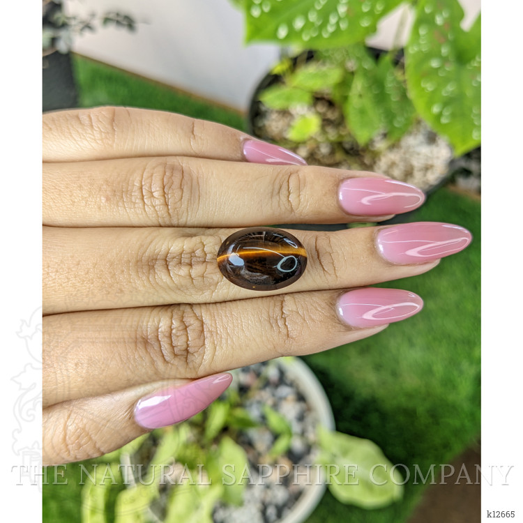 10.16 Ct. Cabochon Tiger's Eye from South Africa