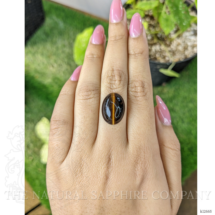 10.16 Ct. Cabochon Tiger's Eye from South Africa
