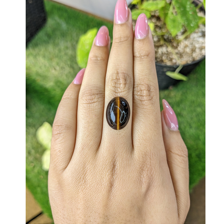 10.16 Ct. Cabochon Tiger's Eye from South Africa
