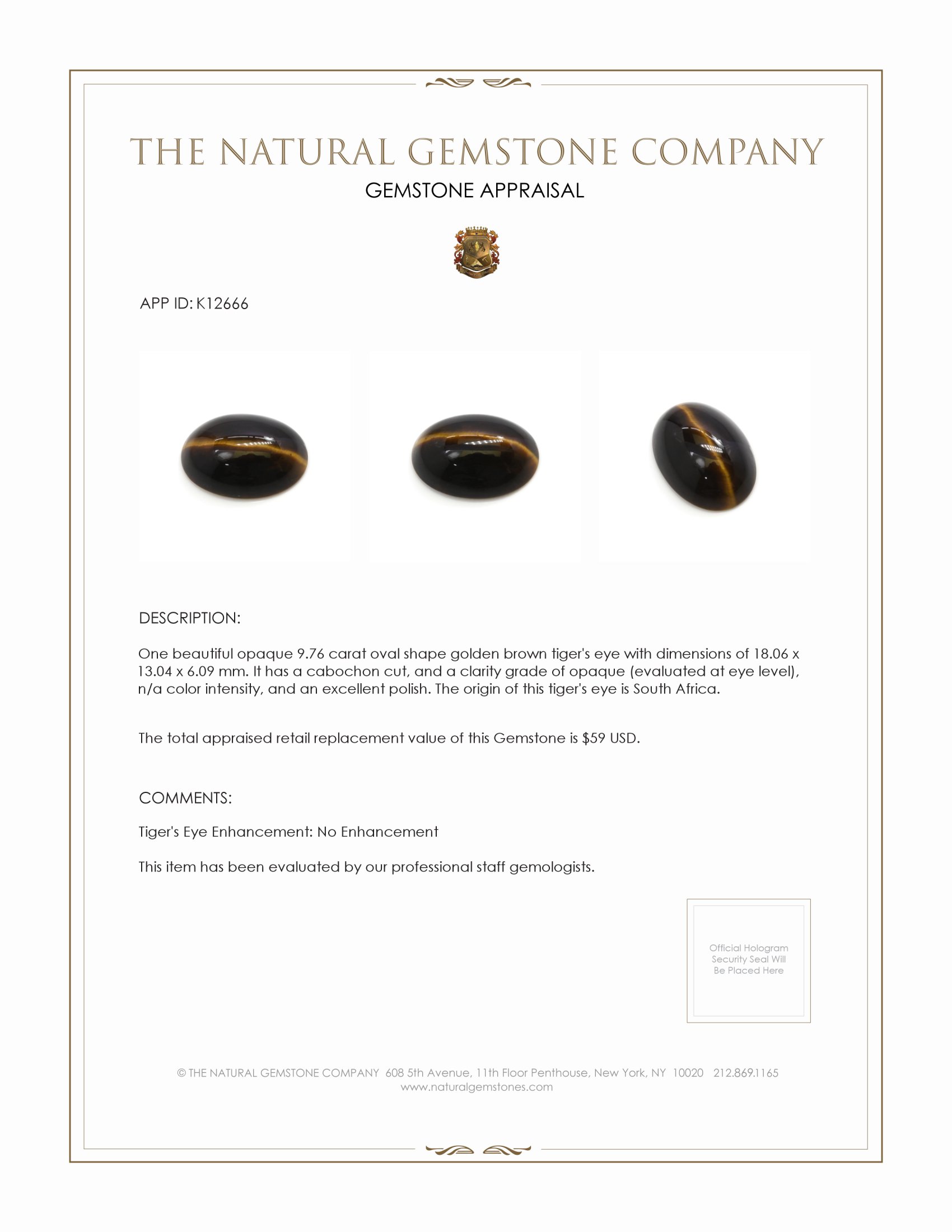 9.76 Ct. Cabochon Tiger's Eye from South Africa