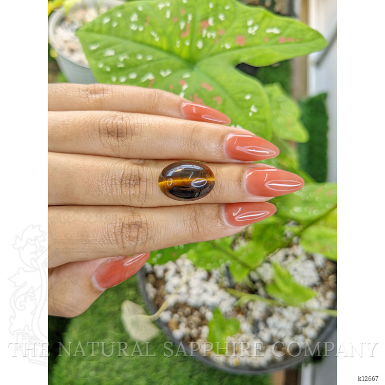10.77 Ct. Cabochon Tiger's Eye from South Africa
