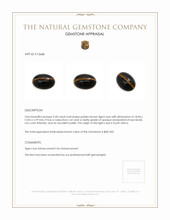 9.60 Ct. Tiger's Eye from South Africa Appraisal