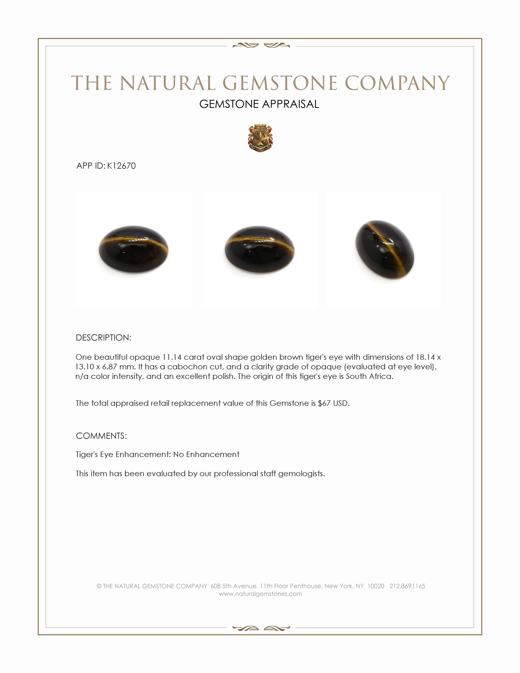 11.14 Ct. Cabochon Tiger's Eye from South Africa