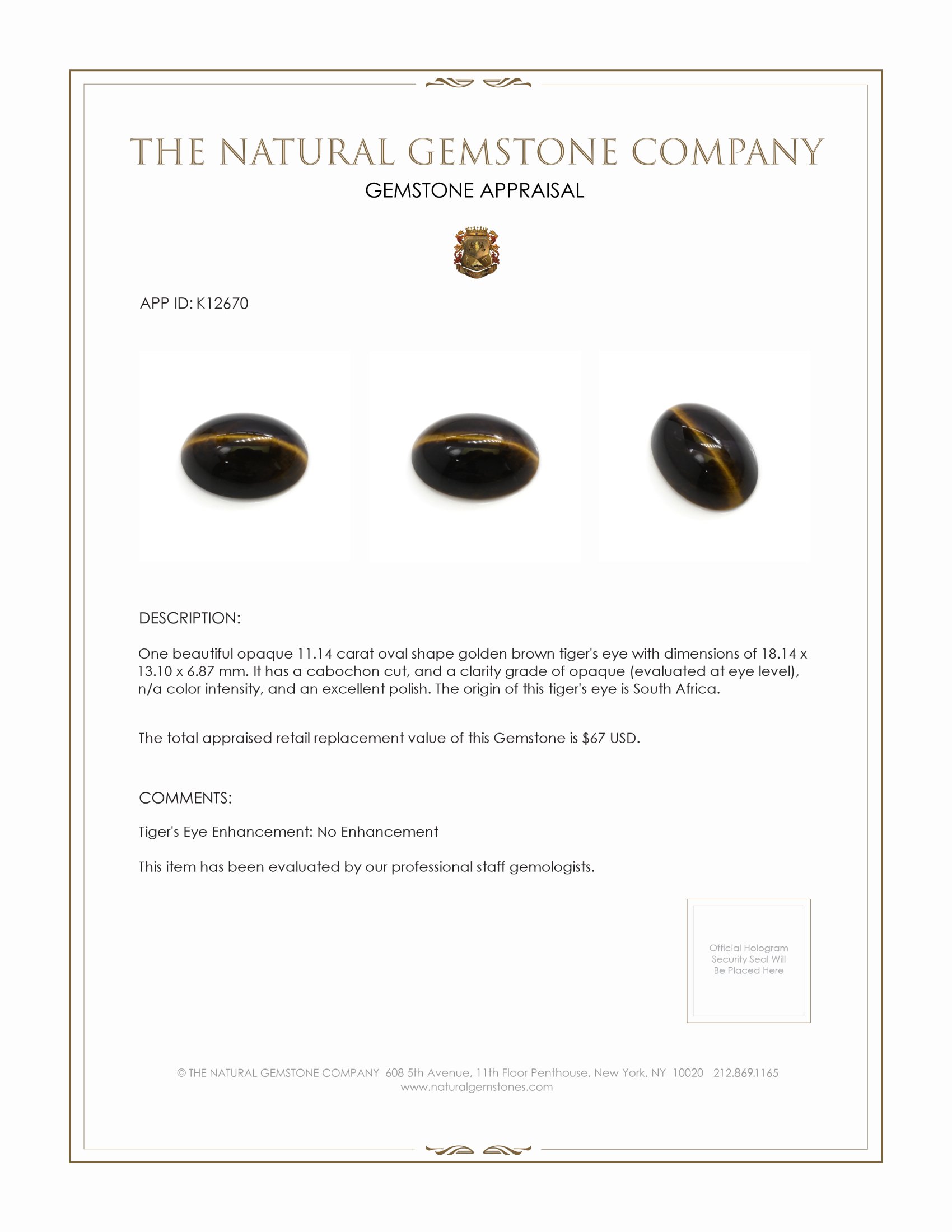 11.14 Ct. Cabochon Tiger's Eye from South Africa