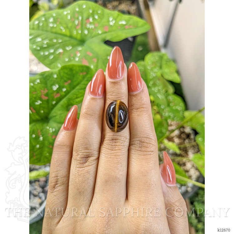 11.14 Ct. Cabochon Tiger's Eye from South Africa